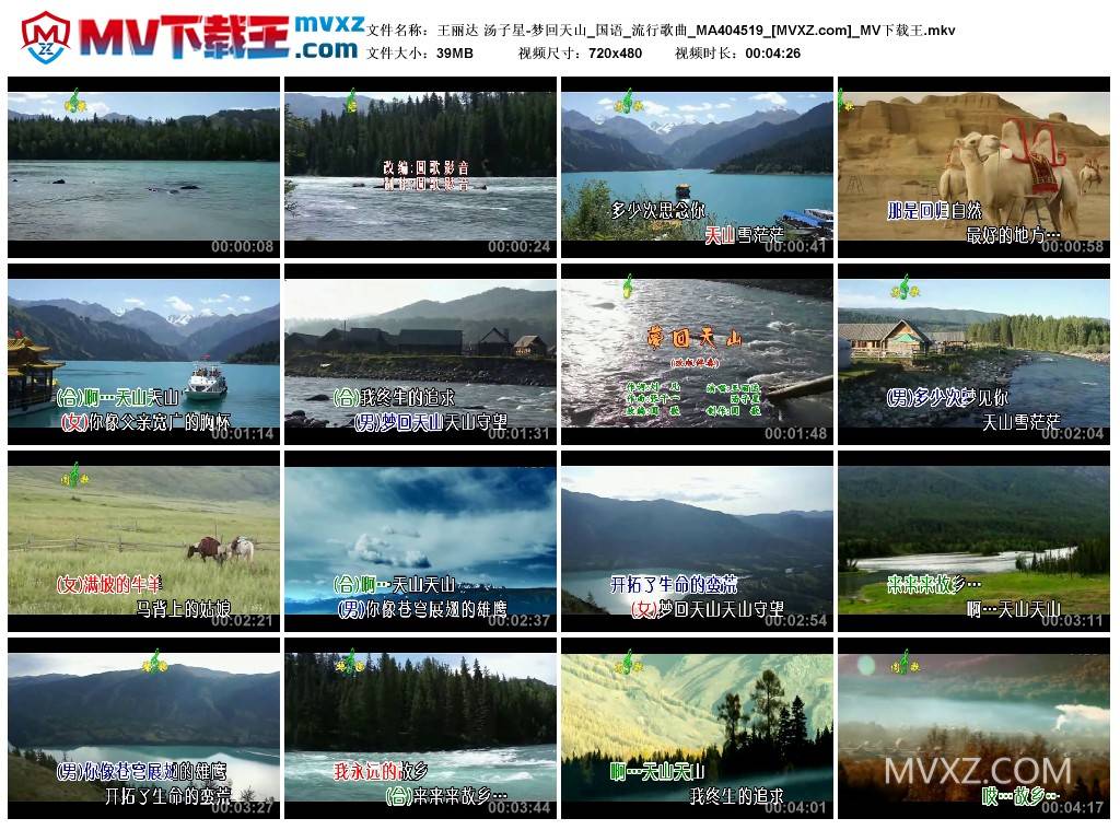 王丽达 汤子星-梦回天山_国语_流行歌曲_MA404519